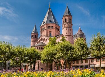 Ren Nehri’nde Almanya & Fransa & İsviçre Turu (Ultra Her Şey Dahil) (V)