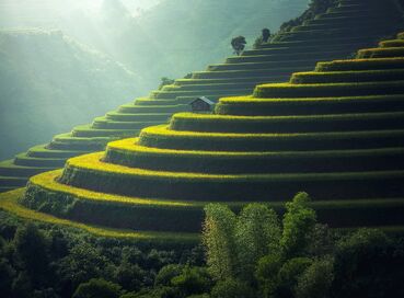 Mekong Nehri'nde Vietnam, Kamboçya ve Tayland