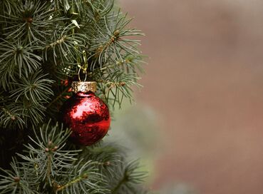 Noel Pazarları'nda Viyana ve Prag