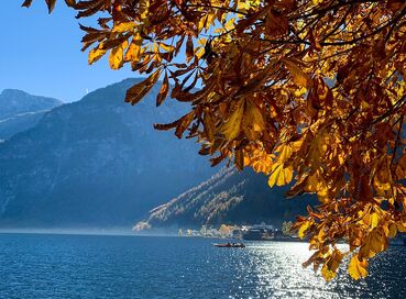 Noel Pazarlarında Bavyera, Salzburg ve Hallstatt