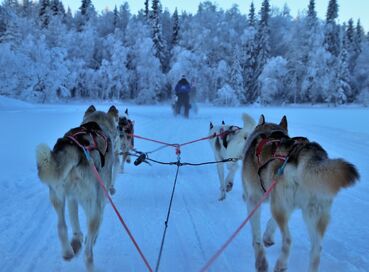 Lapland: Noel Baba’nın Evi ve Buzkıran Gemisi (5* Otel)