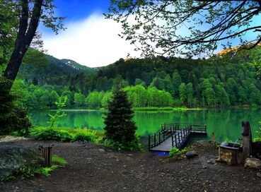 Otobüslü Karadeniz ve Batum Keşif Turu