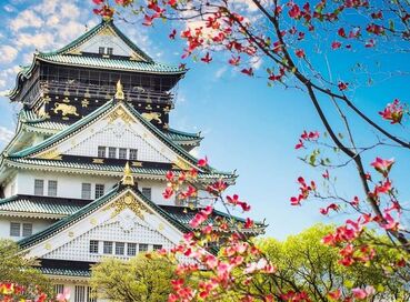 İzmir Çıkışlı Sakura Döneminin Büyülü Rotası Japonya & Kore Turu (Tüm Turlar Dahil)