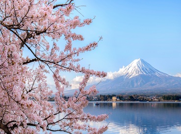 İzmir Çıkışlı Sakura Döneminin Büyülü Rotası Japonya & Kore Turu (Kampanya)