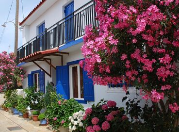 Samos Adası: Kültür ve Deniz Keyfi