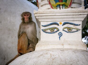 Bhutan ve Nepal (2)