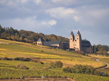 Ren Nehri’nde Almanya, Fransa ve İsviçre (Tüm Turlar Dahil) (3)