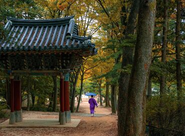 5* Norwegian Sun ile  Güney Kore & Baştan Başa Japonya