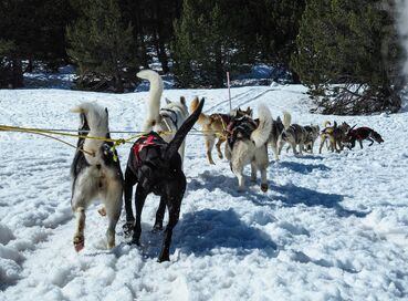 Lapland Igloo Konaklamalı Exclusive ve Buzkıran Turu (2)