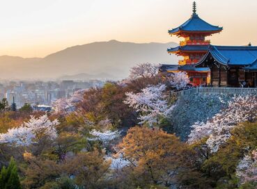 İzmir Çıkışlı Sakura Döneminin Büyülü Rotası Japonya & Kore Turu (Kampanya)