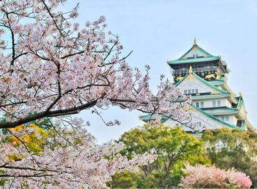 İzmir Çıkışlı Sakura Döneminin Büyülü Rotası Japonya & Kore Turu (Kampanya)