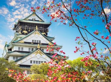 Antalya Çıkışlı Sömestr Özel Japonya & Kore Turu Tüm Turlar Dahil