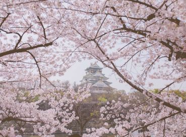 Antalya Çıkışlı Sakura Zamanında Japonya & Kore Turu Tüm Turlar Dahil