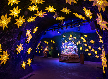 Antalya Çıkışlı Sömestr Özel Alsace Colmar ve Tren ile Alp Dağları Turu