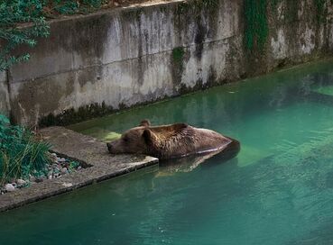 Antalya Çıkışlı Sömestr Özel Alsace Colmar ve Tren ile Alp Dağları Turu