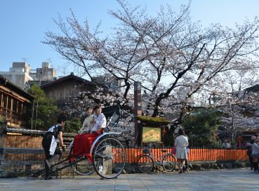 İzmir Çıkışlı Sakura Zamanında Büyük Japonya & Kore Tüm Turlar Dahil