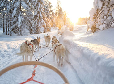 İzmir Çıkışlı Sömestre Özel Lapland Kuzey Işıkları (Tüm Turlar Dahil- 4 Gece)