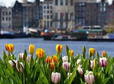 Lale Dönemi'nde Amsterdam, Brüksel ve Paris