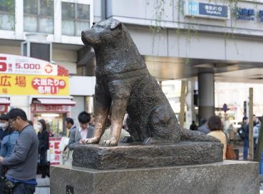 Japonya ve Kore Turu (4)