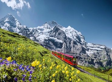 Antalya Çıkışlı Kurban Bayramına Özel Alsace Colmar ve Tren ile Alp Dağları Turu