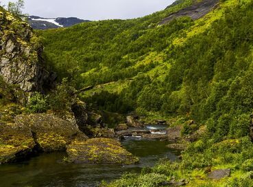 Antalya  Çıkışlı Gemi ve Tren ile Büyülü İskandinavya Norveç & Danimarka Fiyortları İsveç Turu