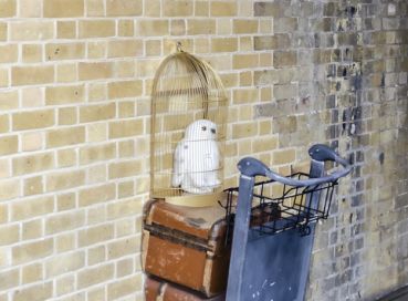 Antalya  Çıkışlı İngiltere & Galler (Harry Potter Turu Dahil)