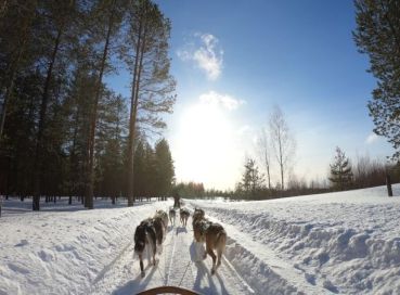 Lapland; Igloo Konaklama ve Buzkıran Turu (1)