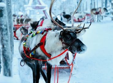 Lapland; Noel Baba'nın Evi ve Buzkıran Gemisi