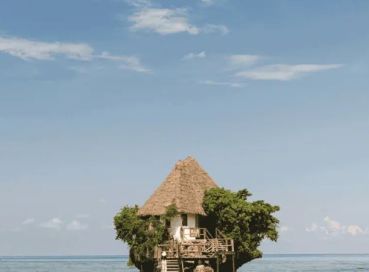 İzmir Çıkışlı Tropikal Cennet Zanzibar & Tanzanya Safari Turu