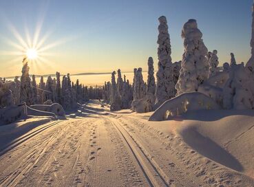 Lapland; Yılbaşı'nda Noel Baba’nın Evi