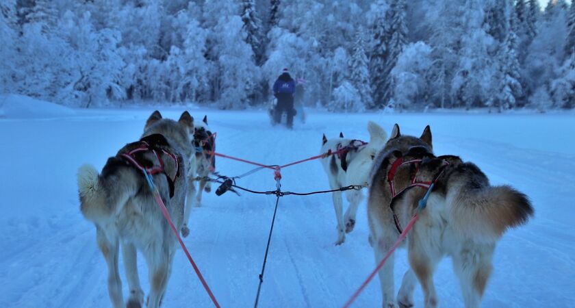 Lapland; Noel Baba'nın Evi ve Buzkıran Gemisi