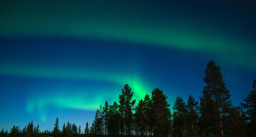 Lapland; Noel Baba'nın Evi Buzkıran Gemisi ve Treehouse Konaklama