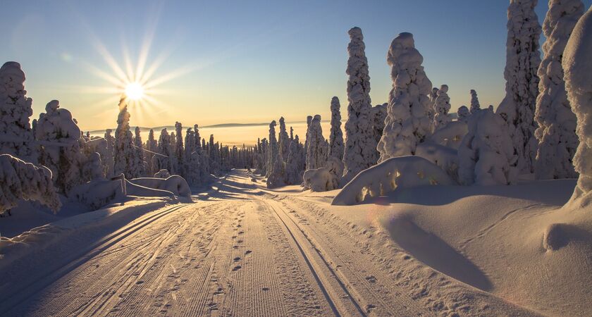 Lapland; Noel Baba'nın Evi Buzkıran Gemisi ve Treehouse Konaklama