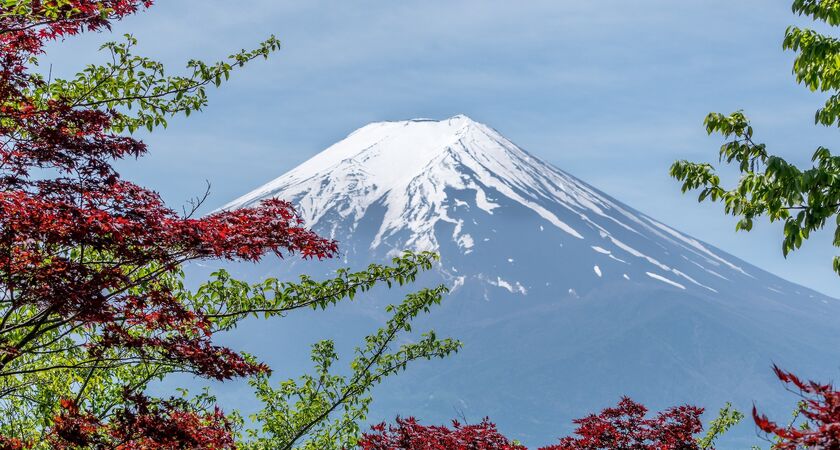 Japonya; Sakura Zamanı (3)