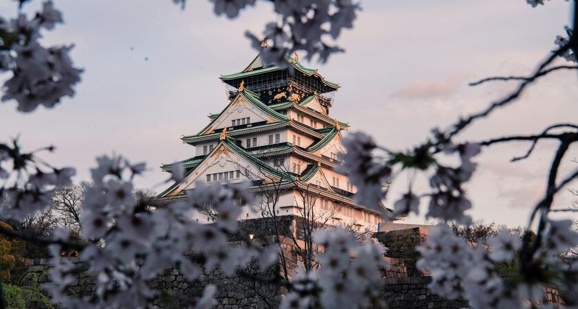 Japonya; Sakura Zamanı (3)