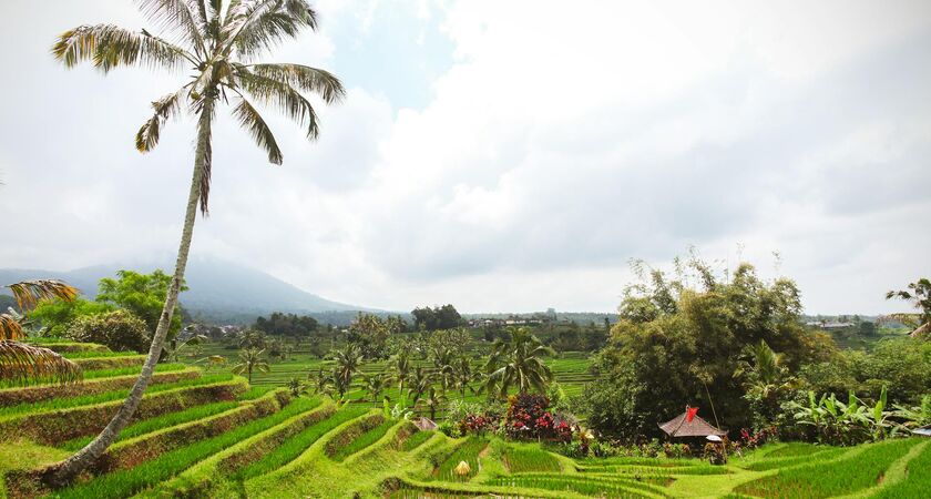 Ubud & Bali & Endonezya Turu (2)