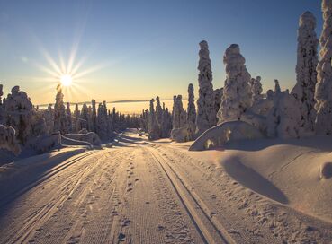 Lapland; Yılbaşı'nda Noel Baba’nın Evi