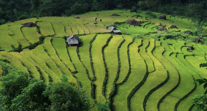 Vietnam & Kamboçya & Tayland