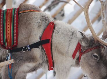 İzmir Çıkışlı Sömestr Özel Kuzey Işıklarının İzinde Lapland Turu Kampanya (5 gün 4 Gece)